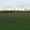 P1050499