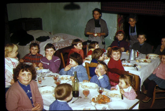 Cousins cousines