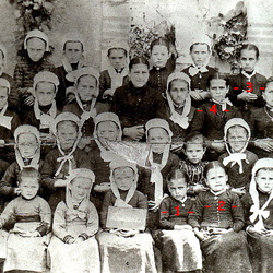 Dominique-Eglantine